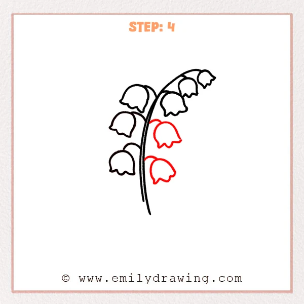 how to draw a lily of the valley - Step 4